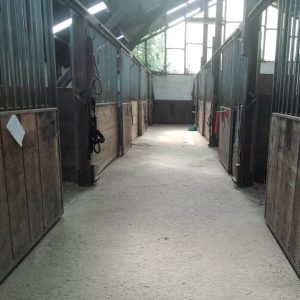 Reiterhof Goesingen Pferde-Boxen